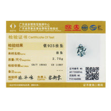 Load image into Gallery viewer, WOSTU Original Design 925 Sterling Silver Newborn Turtle Beads Fit WST Charm Bracelet Fine DIY Jewelry Gift CQC192